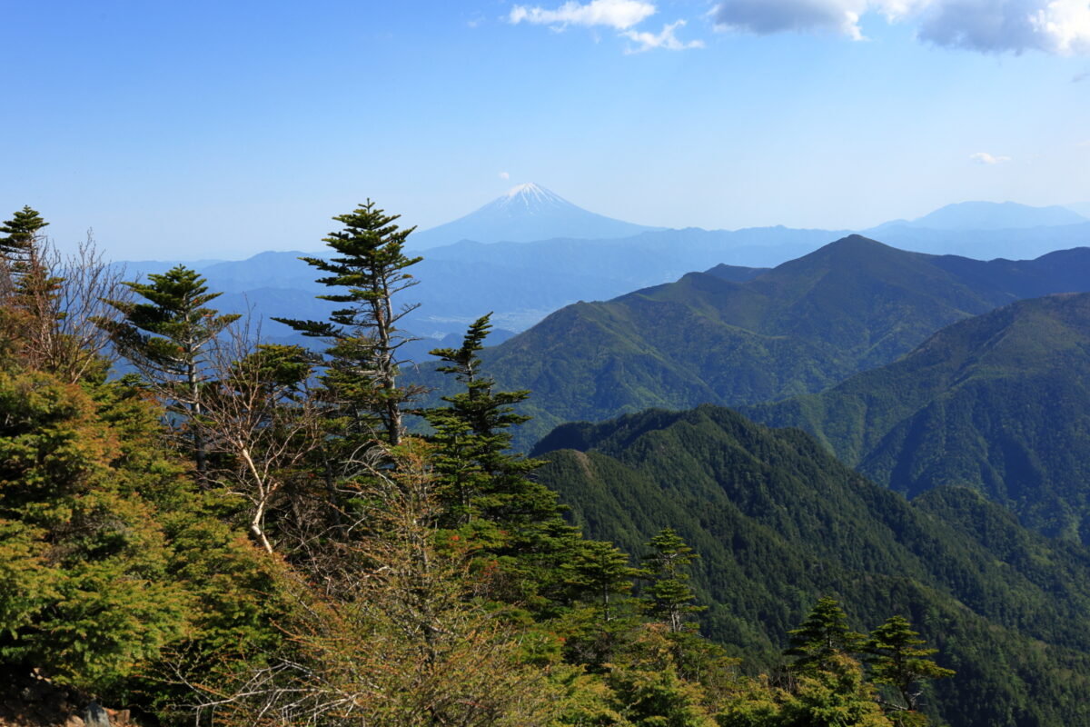 甲武信ヶ岳山頂からの富士山の眺め