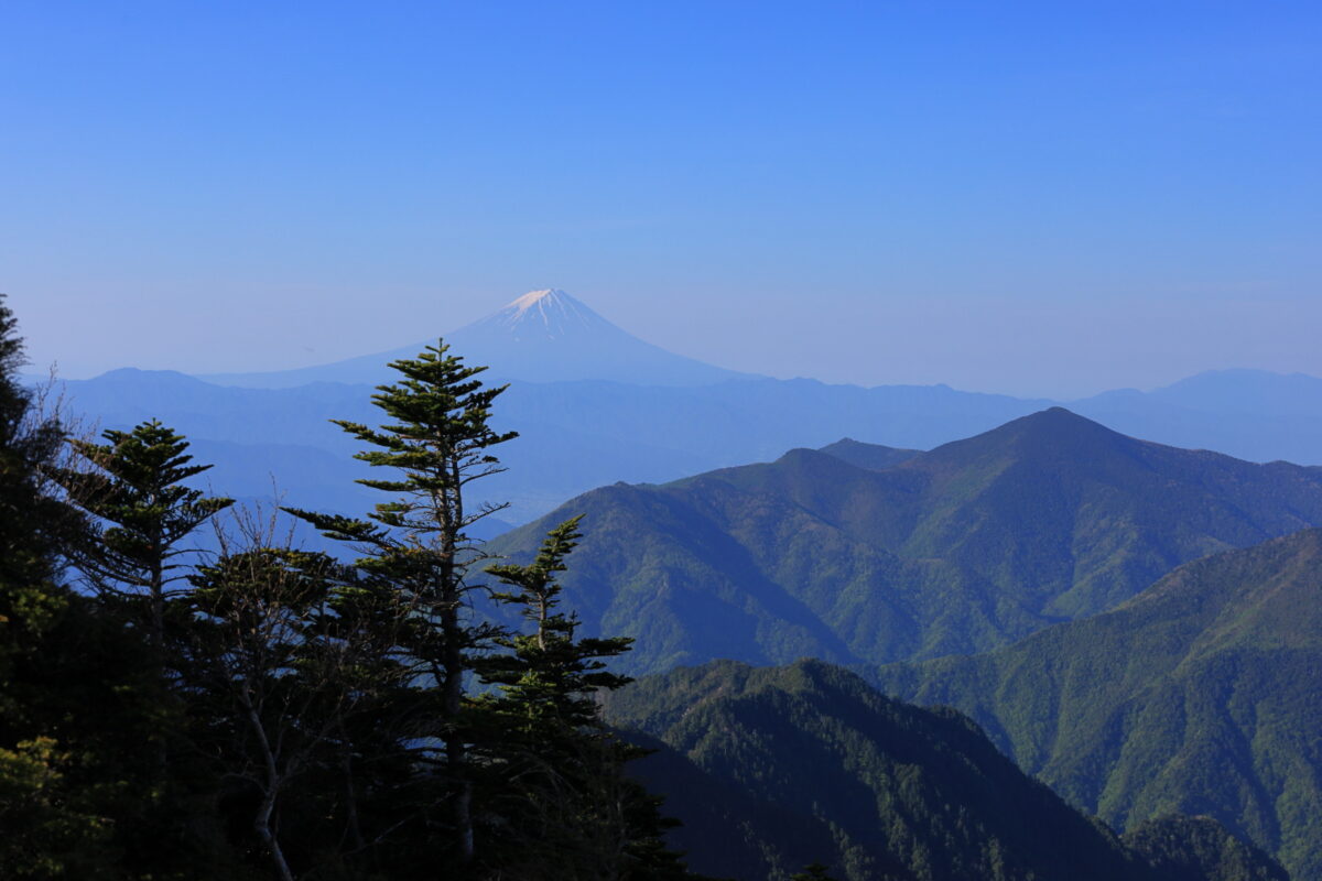 甲武信ヶ岳山頂からの富士山の眺め