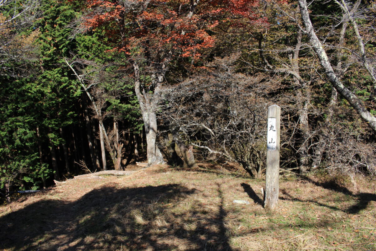 関八州見晴台の近くにある「丸山」というピーク