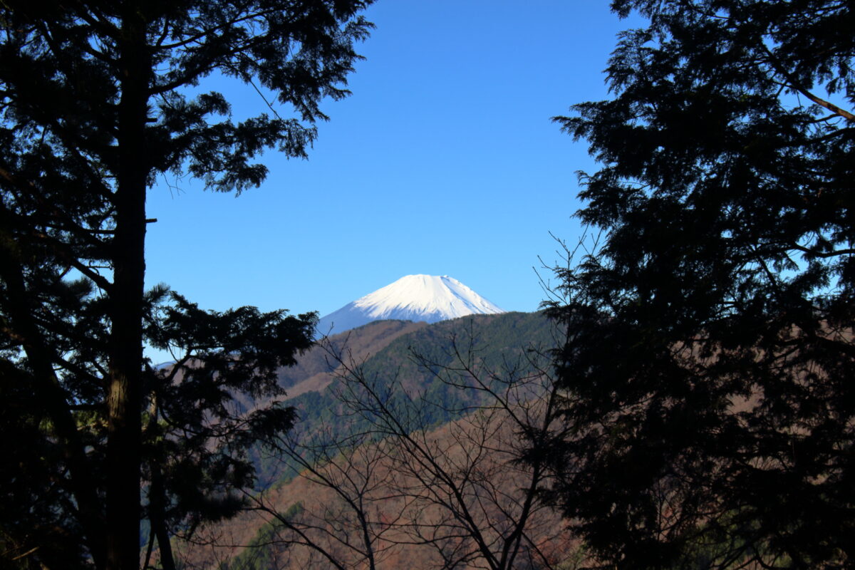 堀山の家近くから眺める富士山