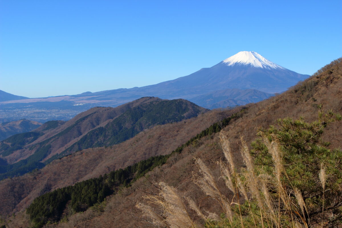 花立山荘手前からの富士山の眺望