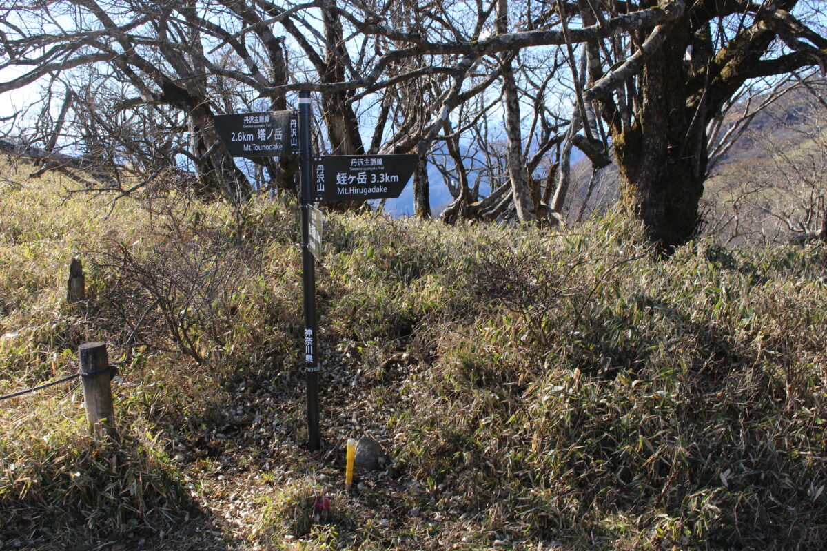 丹沢山山頂から蛭ヶ岳への登山道の入口