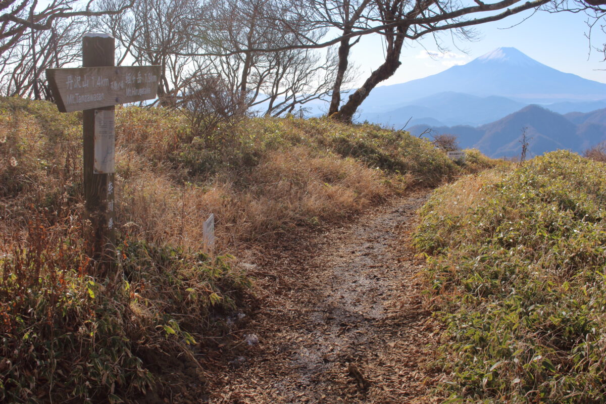 丹沢山～蛭ヶ岳にあるピークの一つ「不動ノ峰」