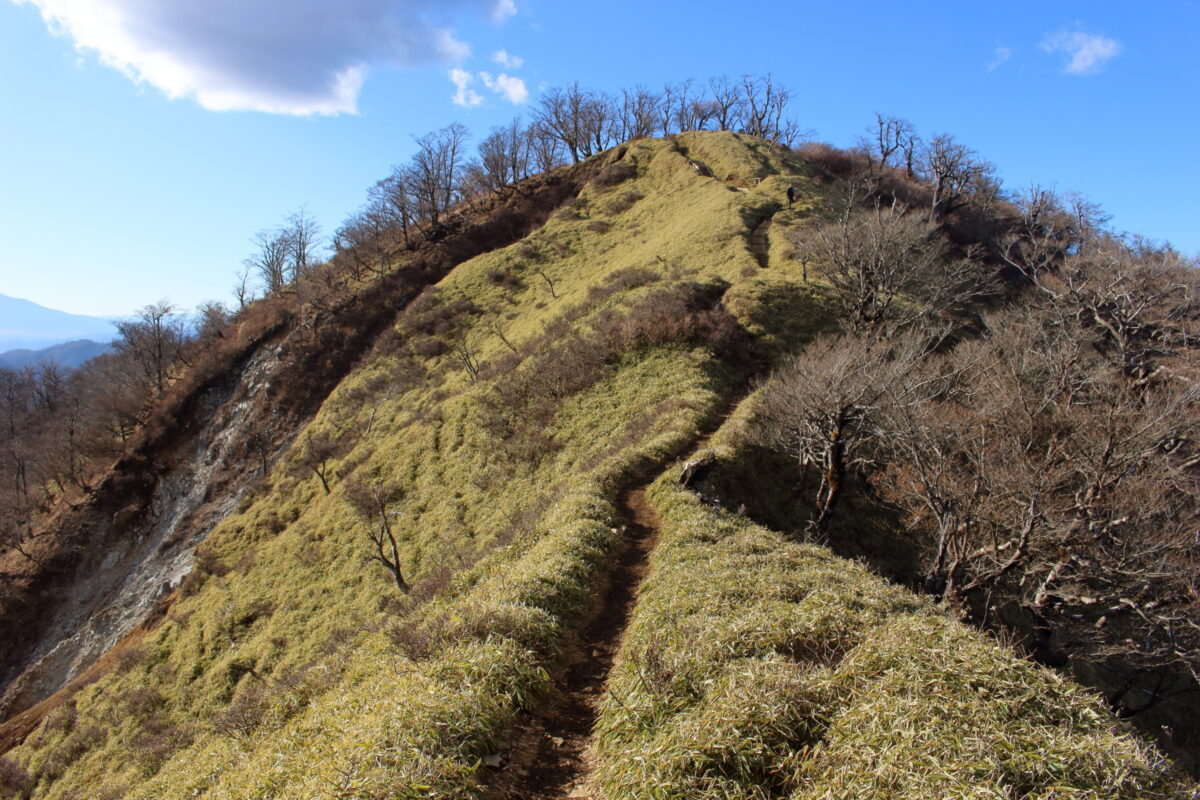 かなり急なアップダウンが続く丹沢山～蛭ヶ岳の登山道