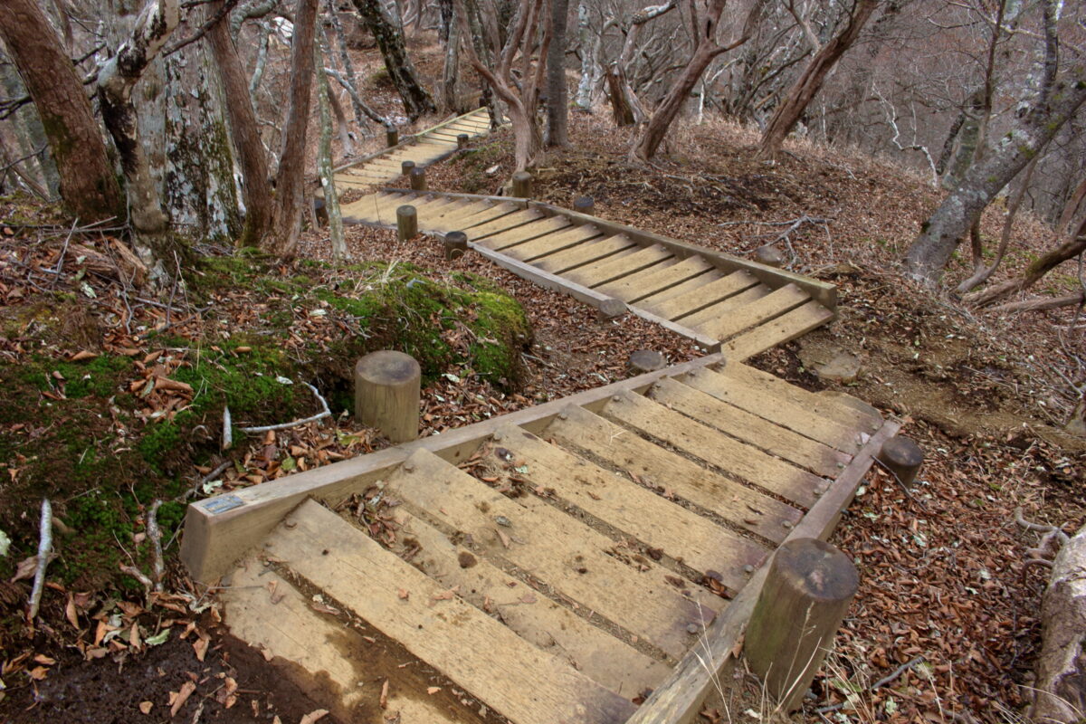 急な階段が続く檜洞丸山頂下の登山道