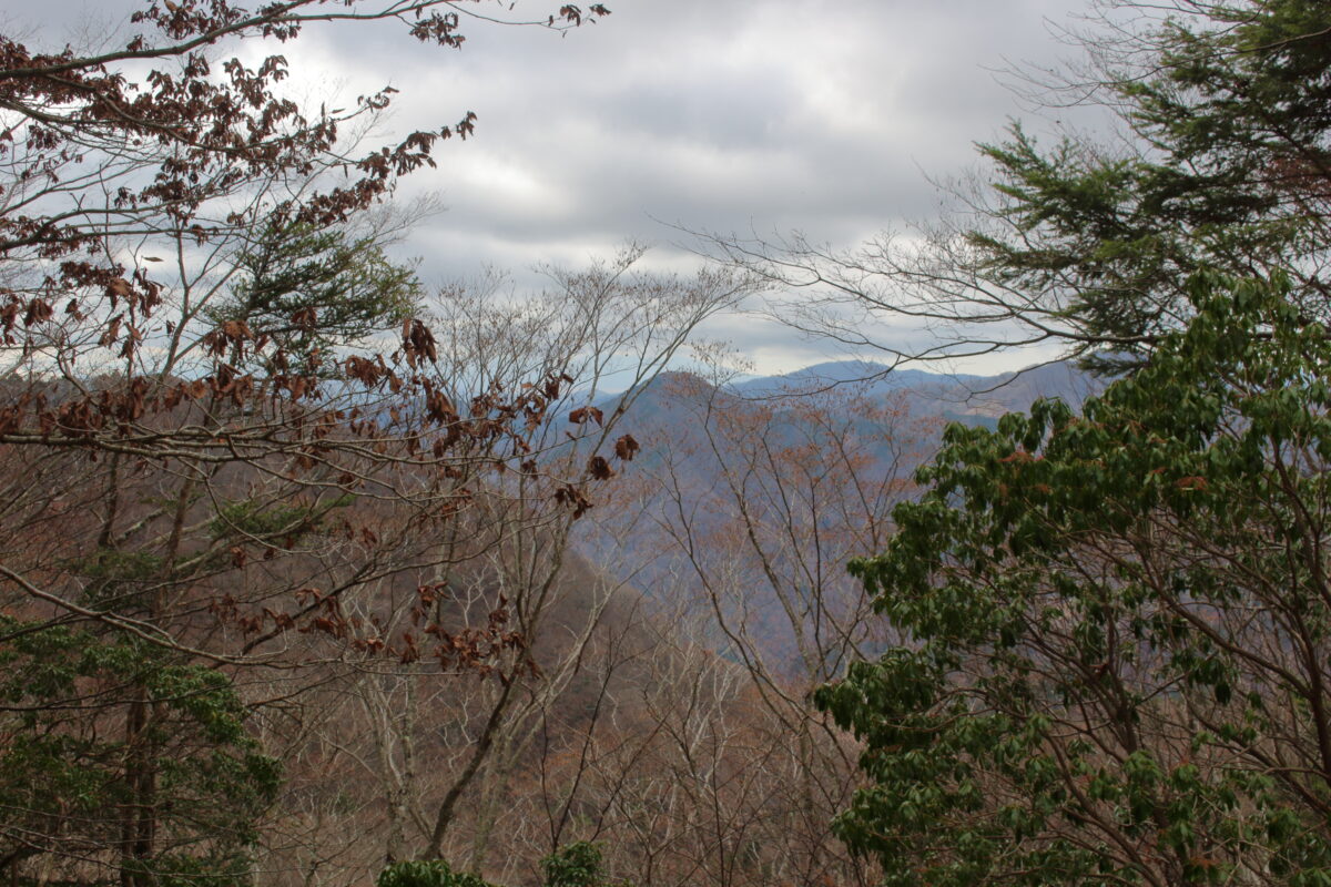 檜洞丸登山道の展望台からの眺望