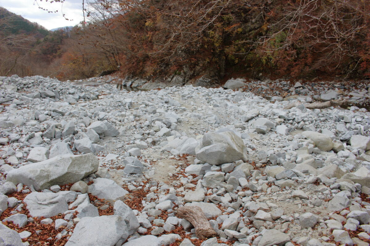 白い石や岩が一面に広がるゴーラ沢の河原