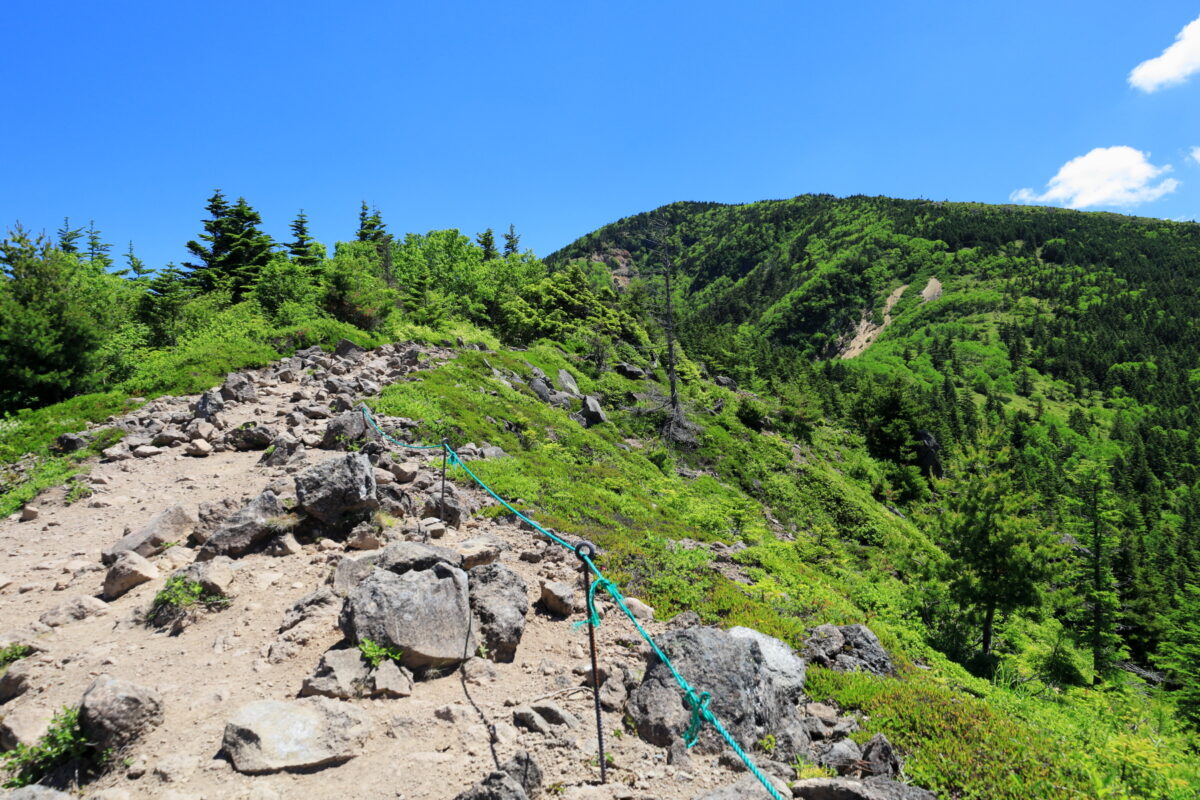 稜線歩きが楽しめる四阿山の登山道