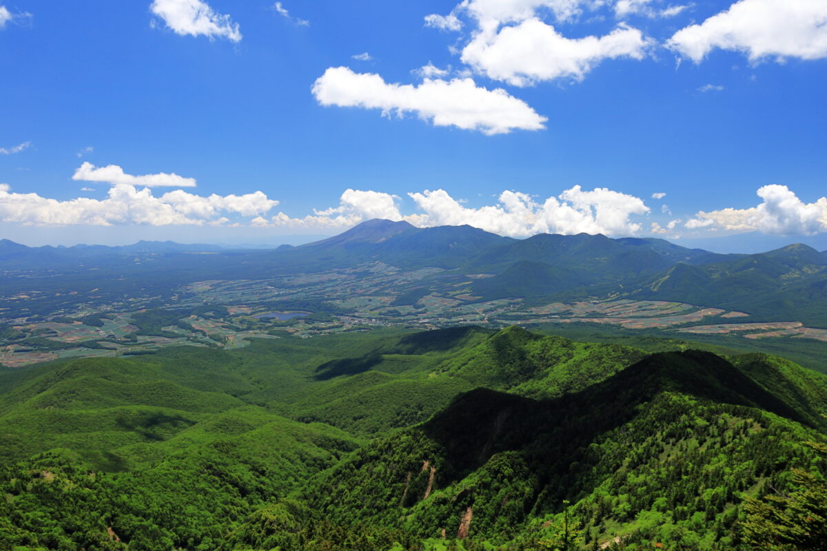 上信越 涼を求めて菅平高原から四阿山 根子岳へ 眺望に高山植物 気持ちの良い稜線歩きを満喫する山旅 ひさのゆる登山日記