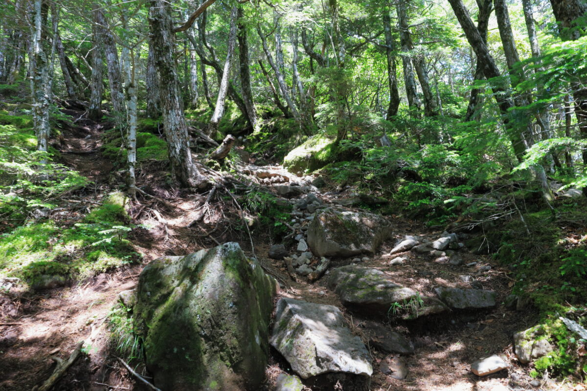 大きな岩が増えてきた西岳の登山道