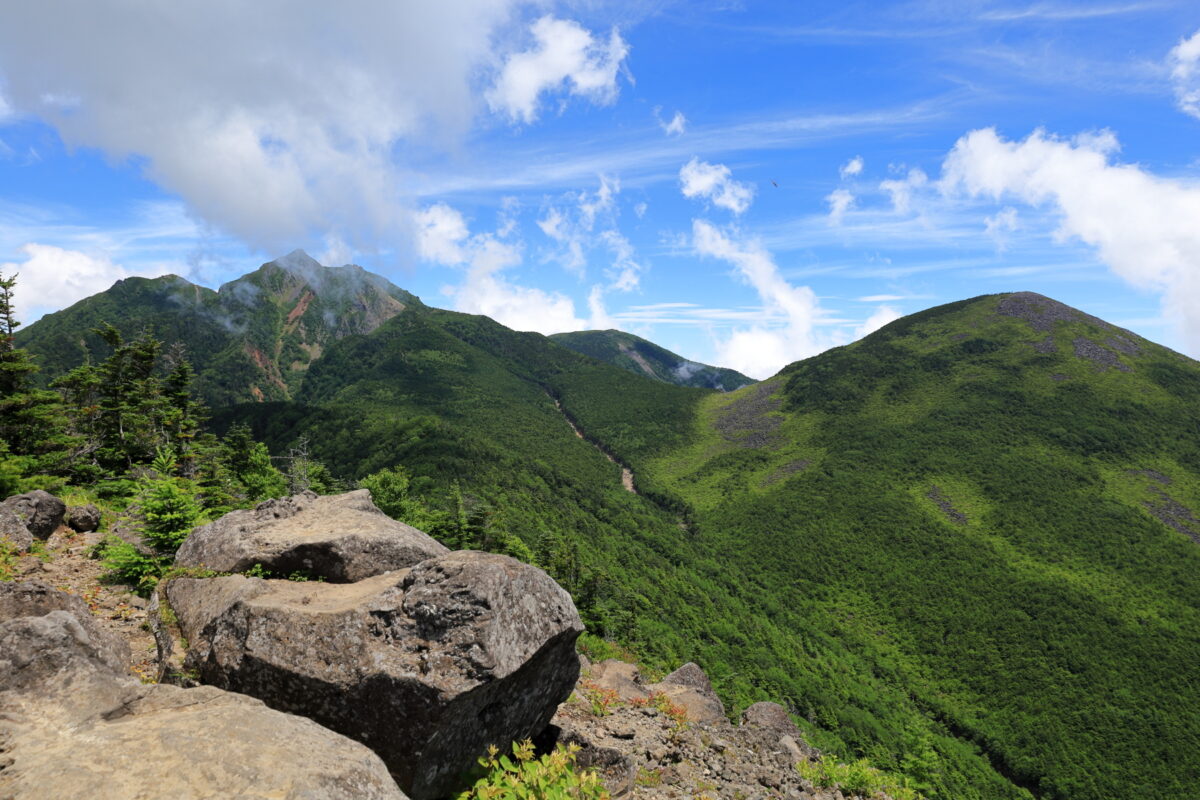 西岳山頂から眺めるギボシと編笠山