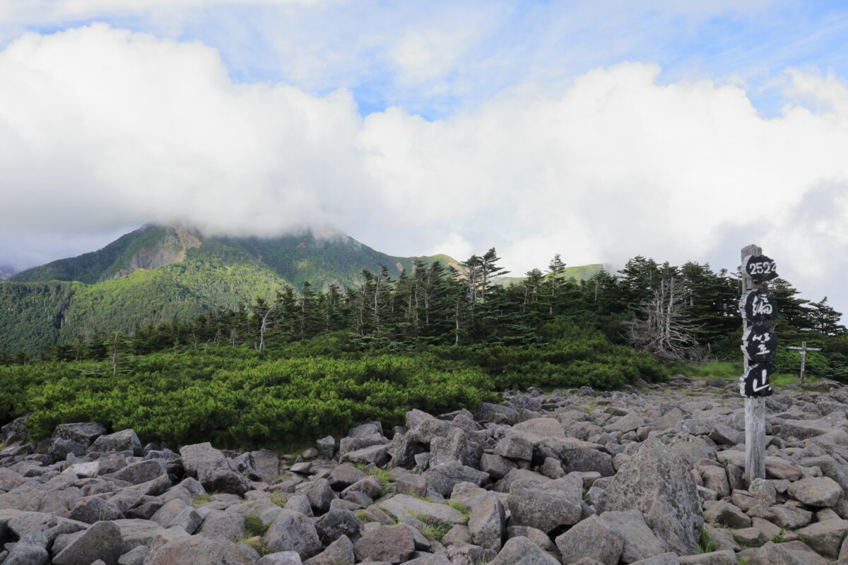 編笠山山頂から眺めるギボシと権現岳