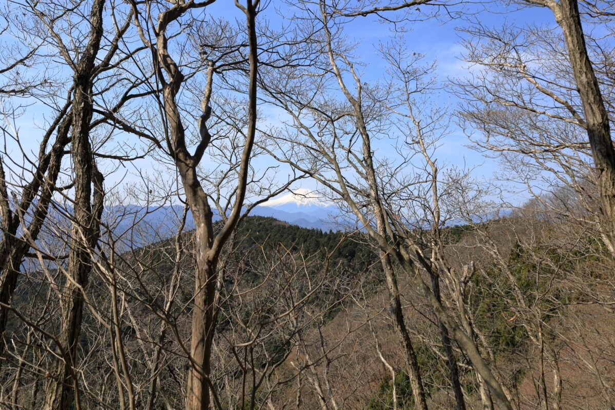 生藤山～茅丸の尾根道からの富士山の眺め