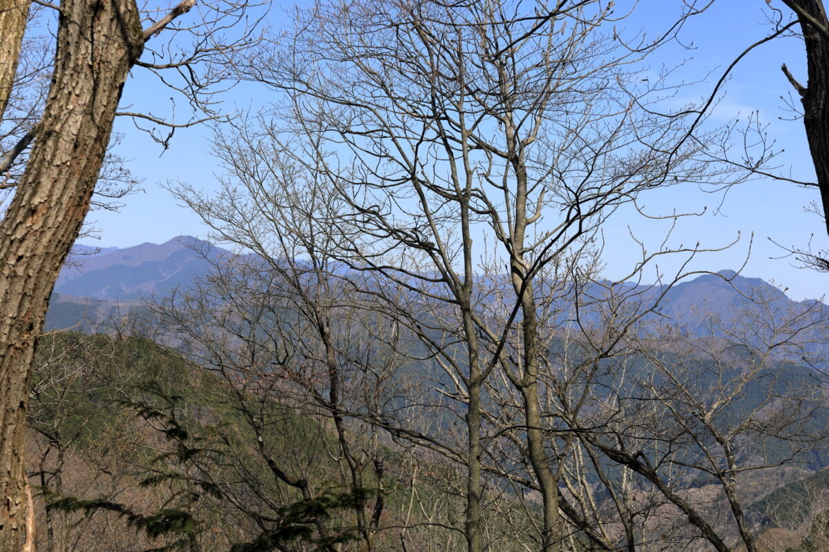 生藤山～茅丸の尾根道からの奥多摩の山々の眺め