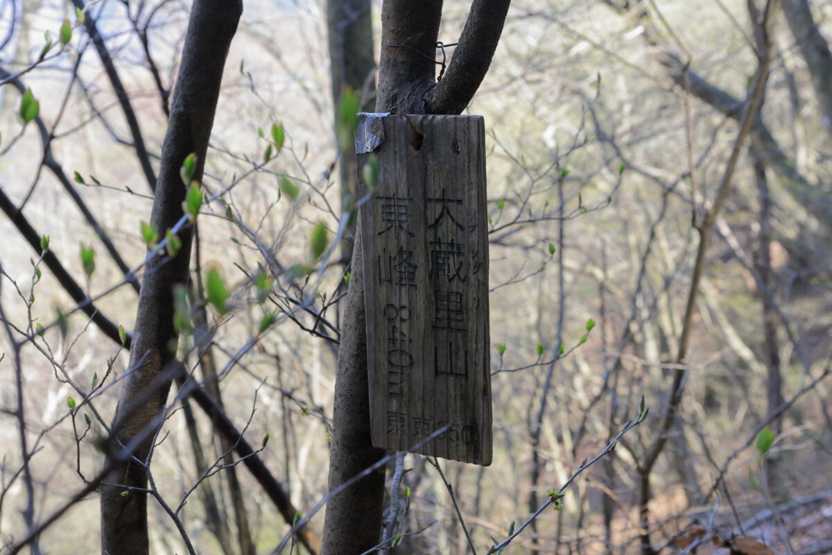 大蔵里山 東峰 の山頂を示す小さな木の板