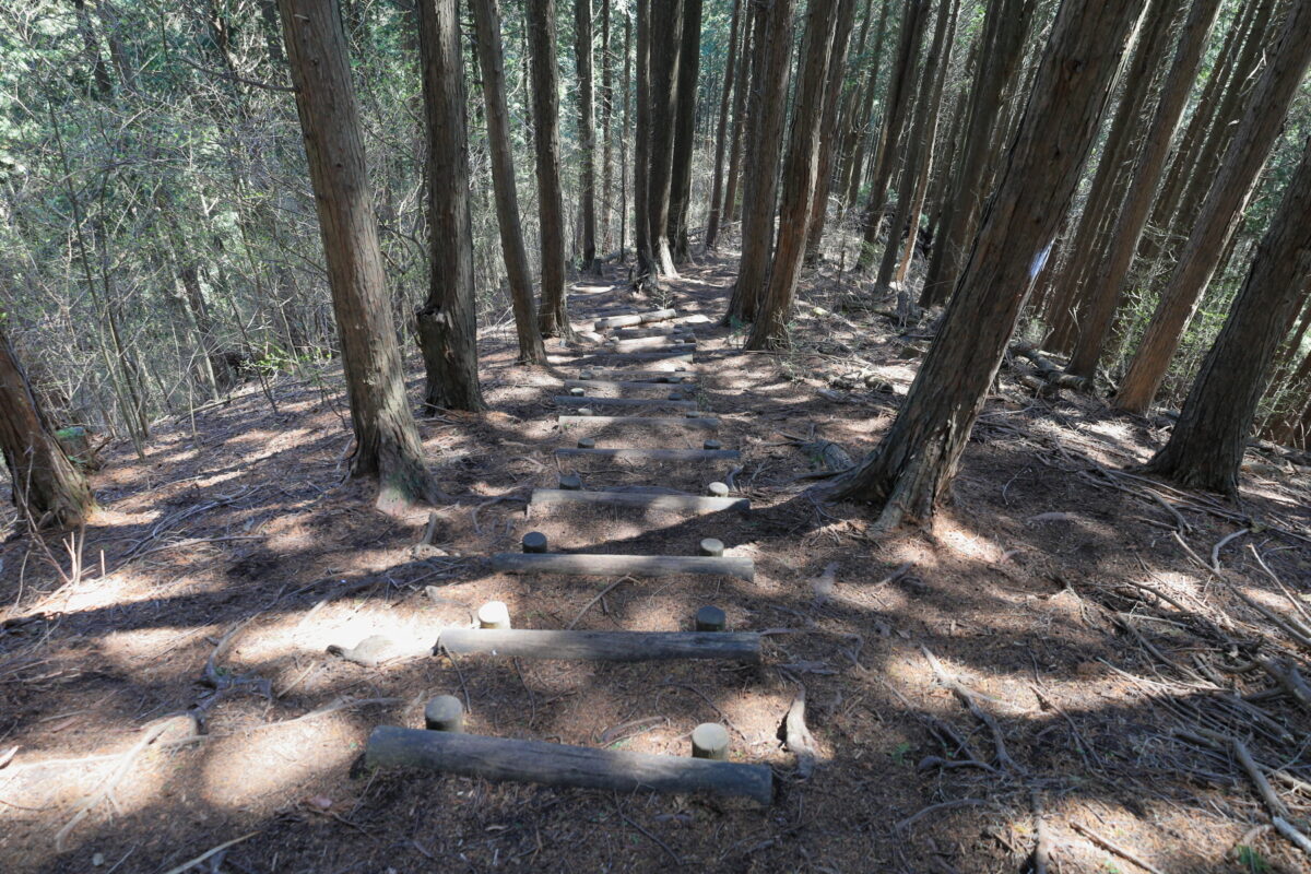 醍醐丸から和田峠へと下る植林帯の階段