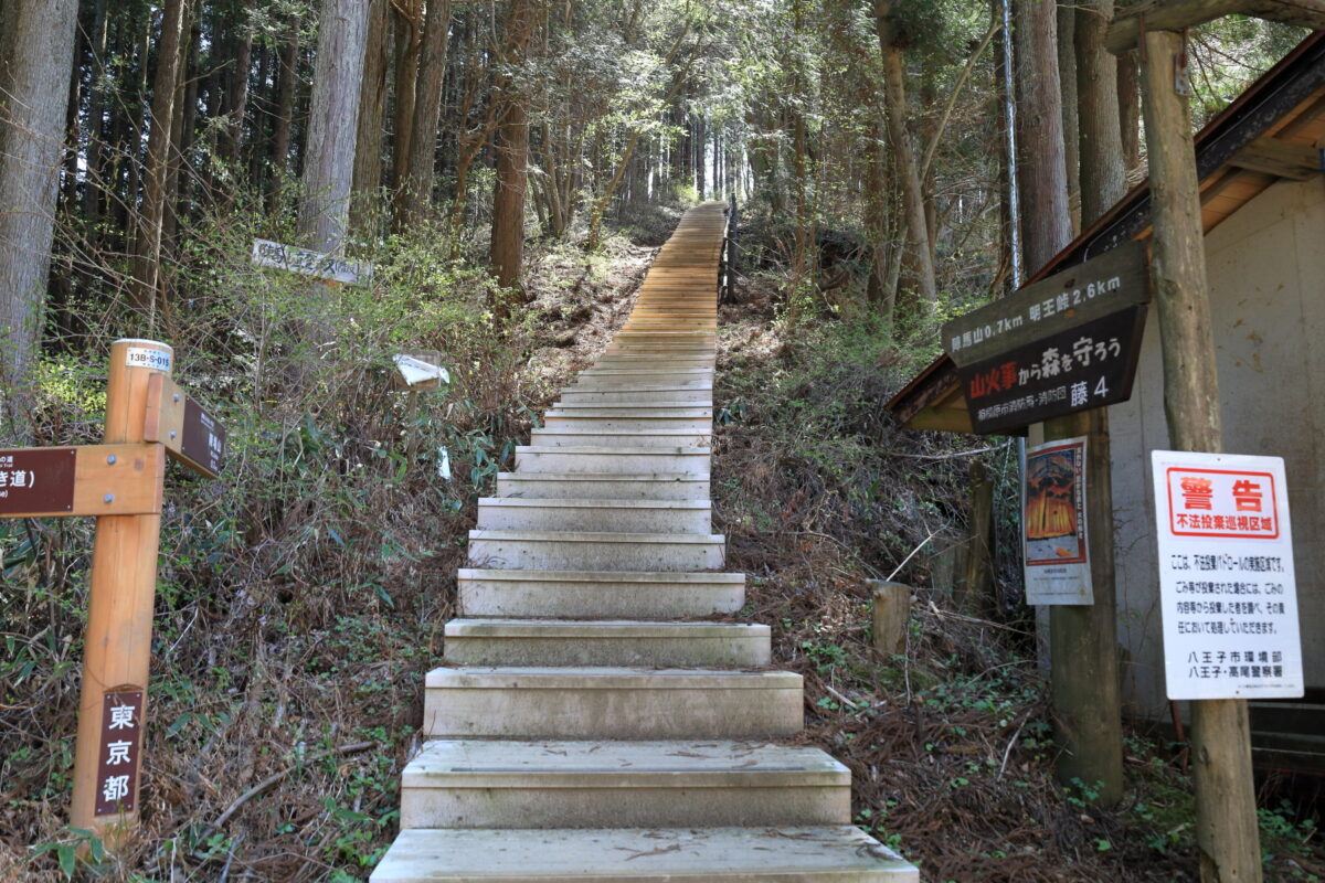 和田峠から陣馬山へと続く階段の道
