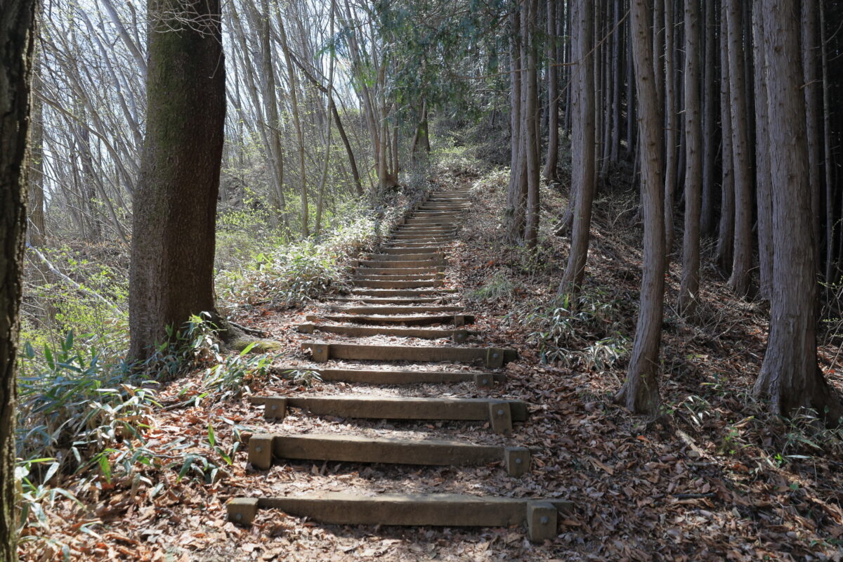 ひたすら階段が続く和田峠から陣馬山への登山道