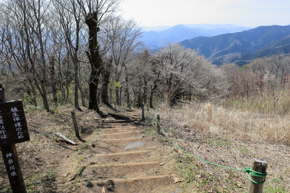 陣馬山山頂から和田バス停方面への下りの階段
