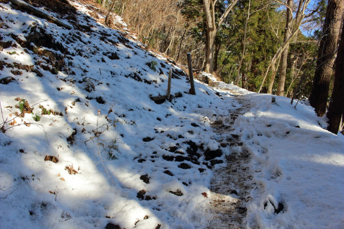 雪に覆われた大倉尾根の登山道