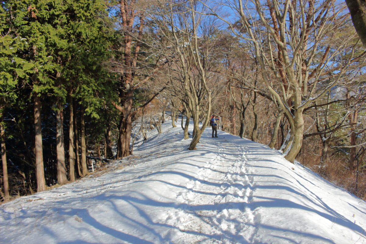 雪に覆われた大倉尾根の平坦な登山道