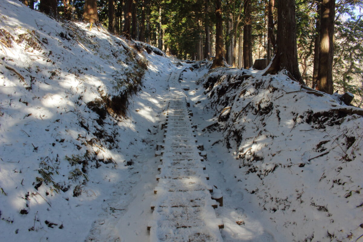 雪がついた大倉尾根の木道
