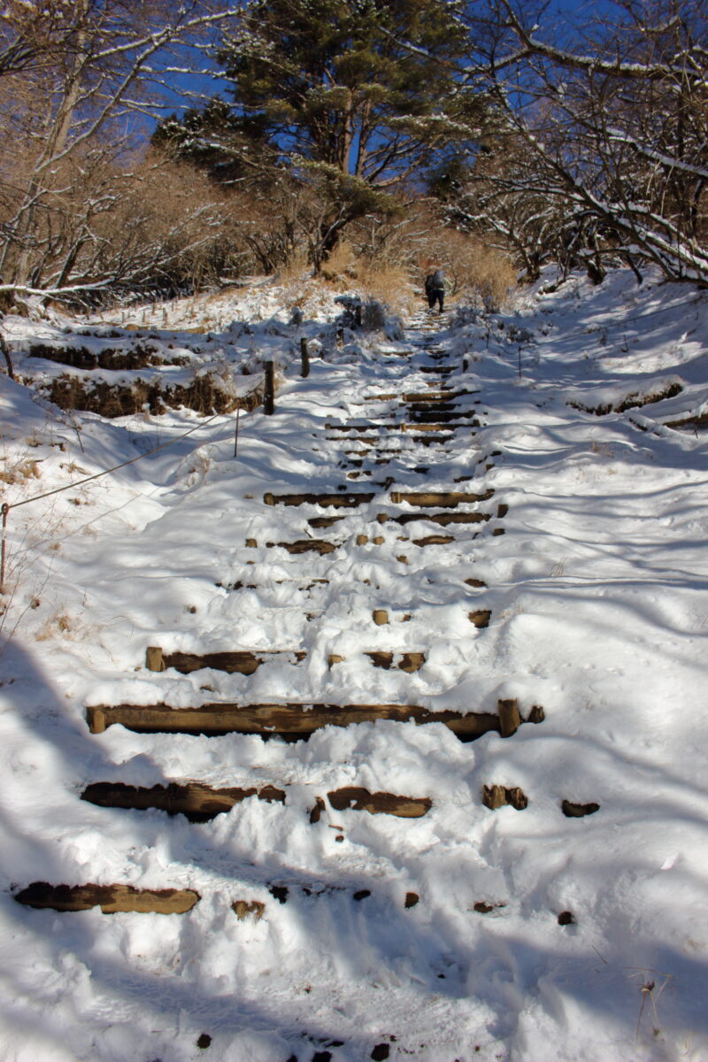半分雪に埋めれている大倉尾根の登山道