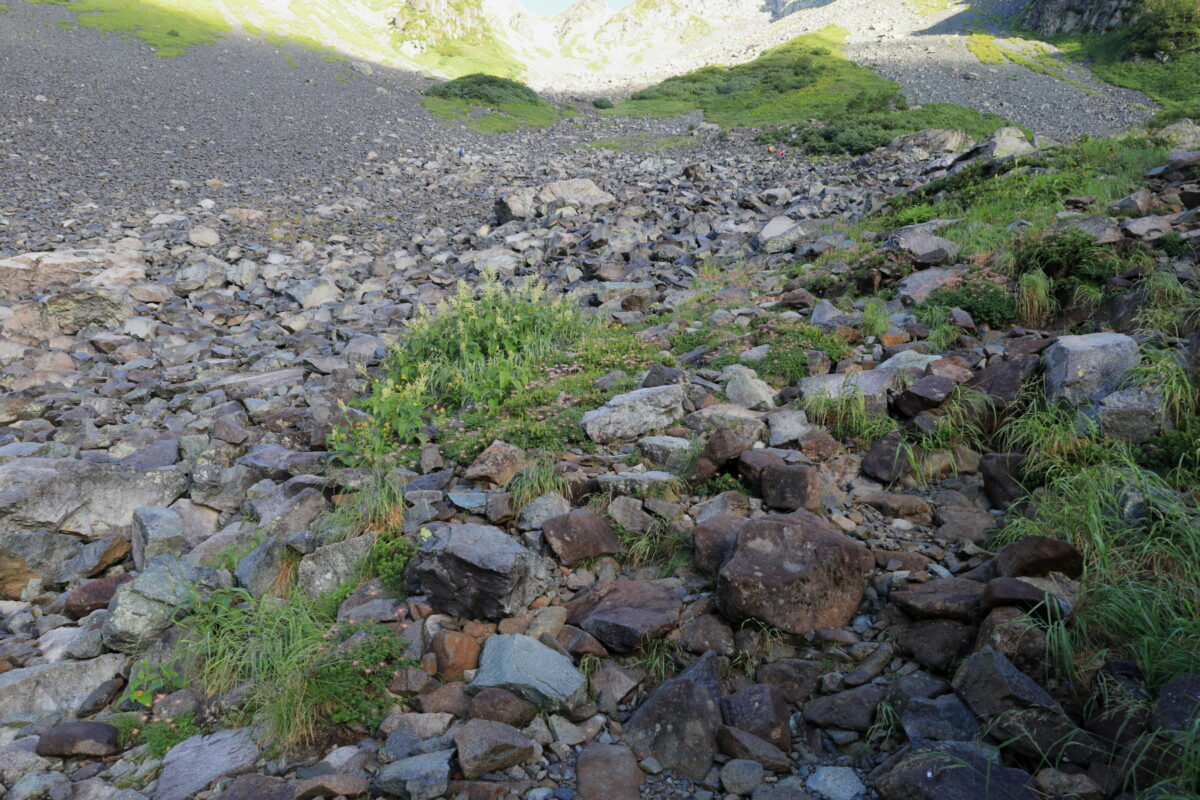 大きな石や岩が多いガレた登山道