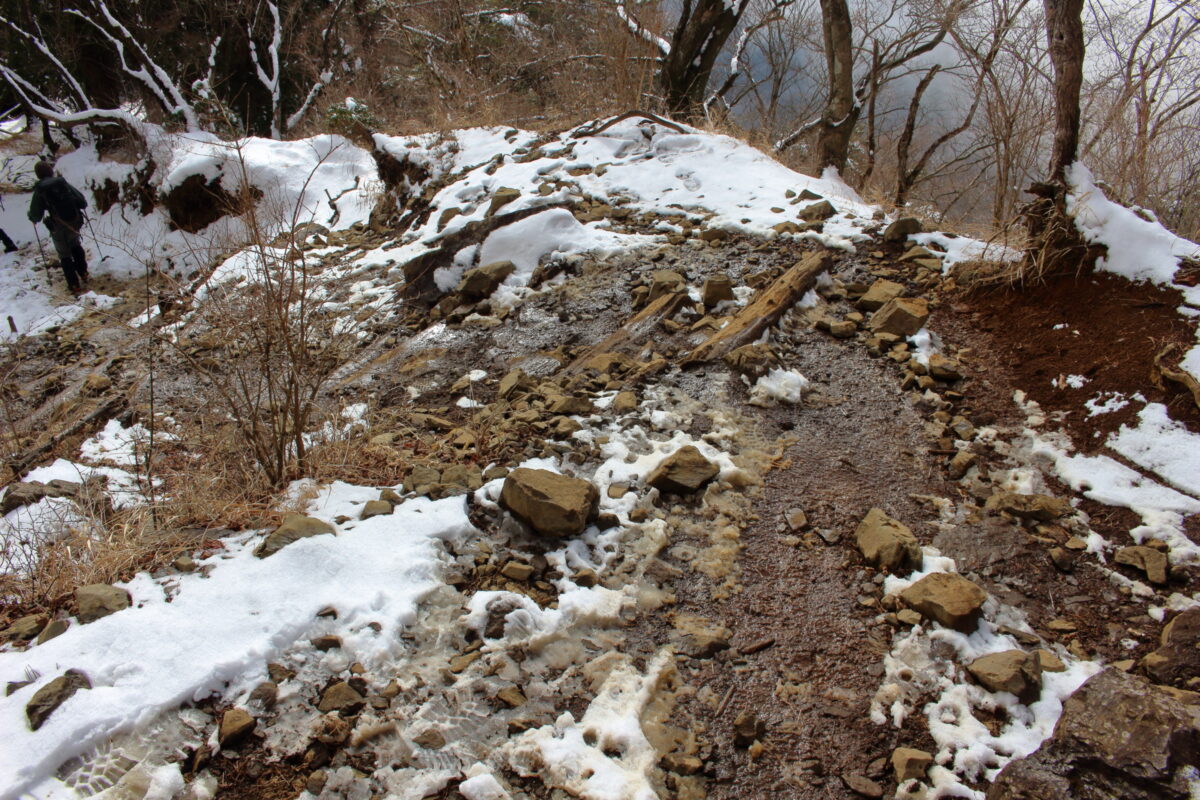 雪が溶けてドロドロになった大倉尾根の登山道