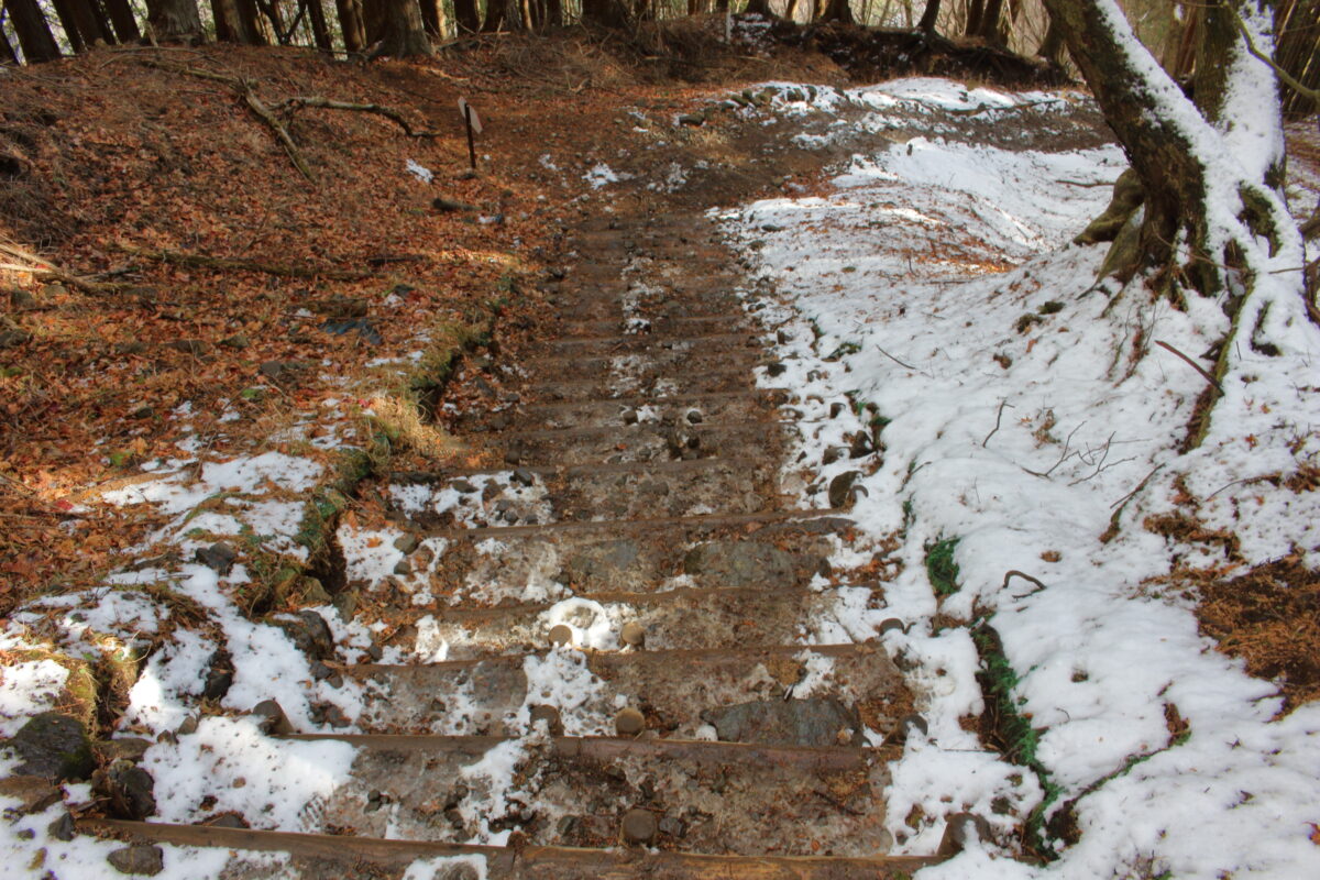 すっかり雪が溶けてしまった大倉尾根下部の登山道