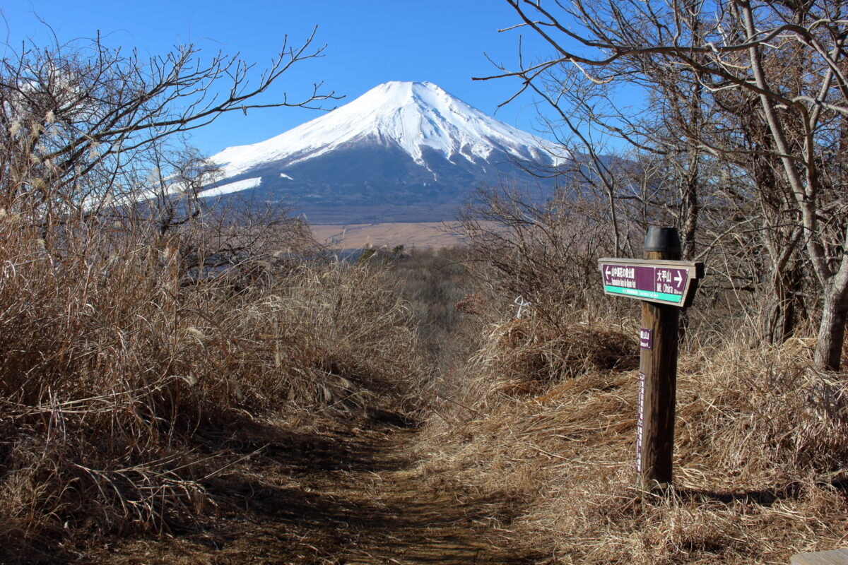 富士山が美しい飯盛山のピーク