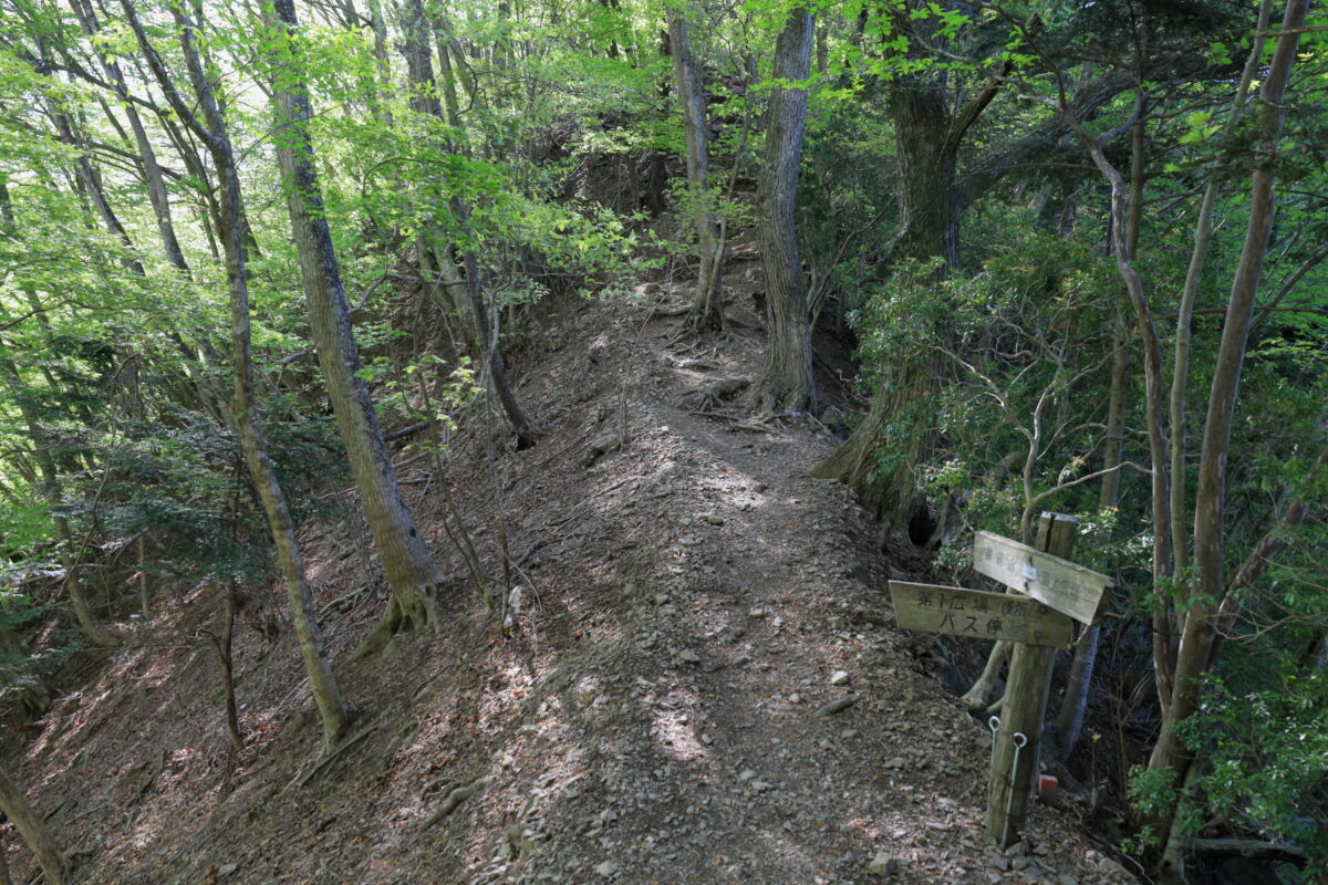 御前山へと至る本格的な登山道の始まり