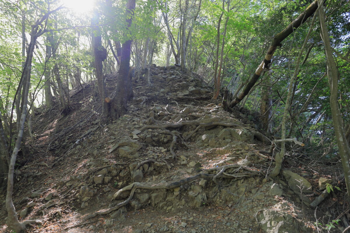 登山口からいきなり急登が続く御前山の尾根道