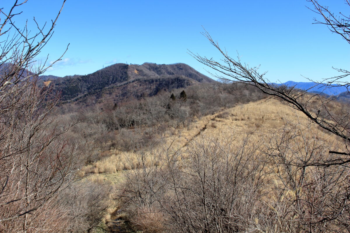平尾山方面への登山道と石割山