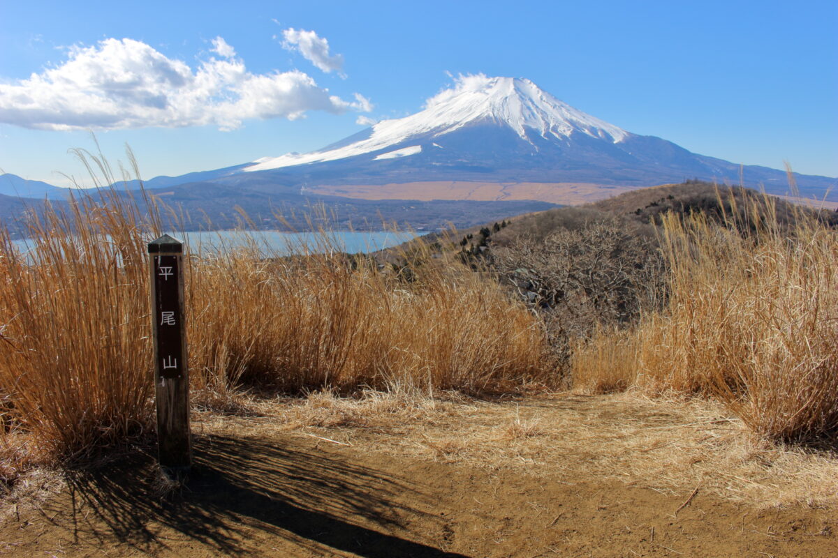 平尾山山頂からススキ越しに眺める富士山と山中湖