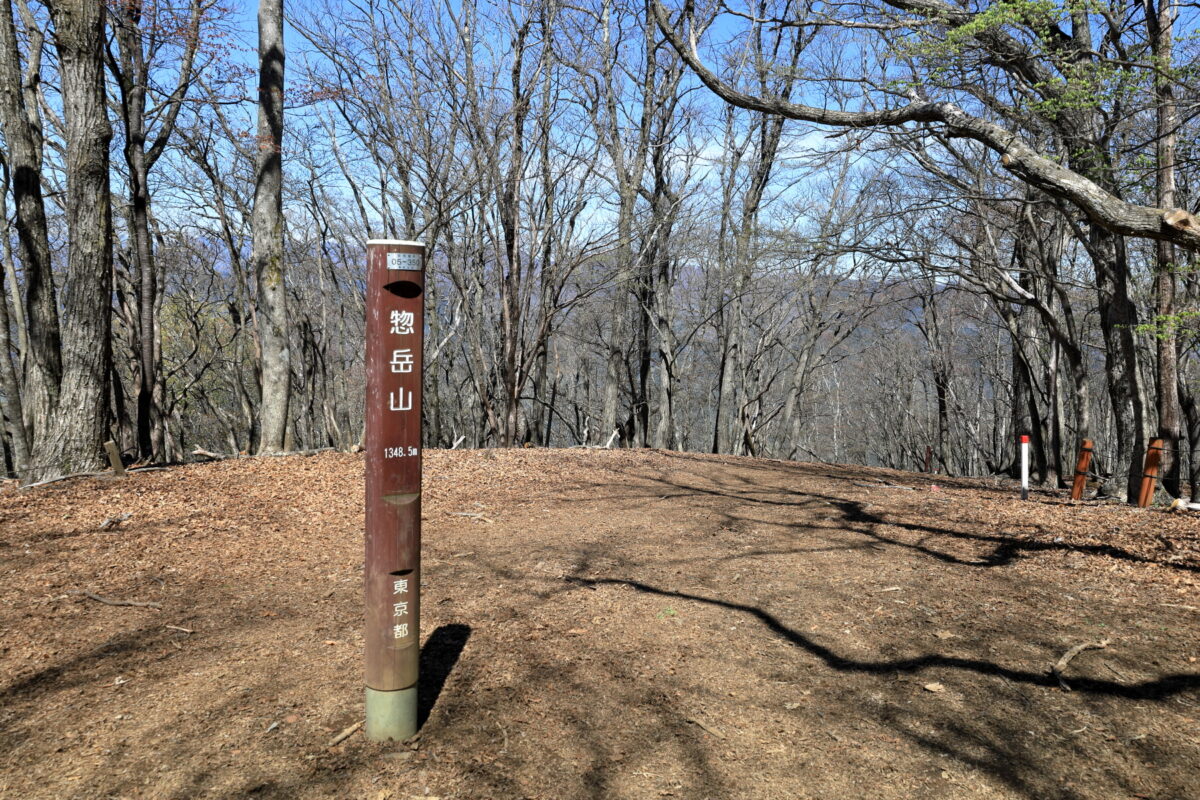 御前山の前衛峰、惣岳山の山頂