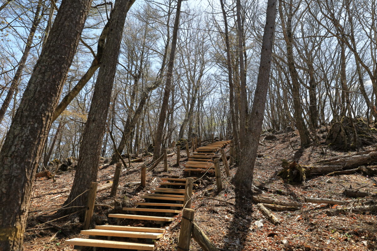 御前山山頂へ続く木の階段の道