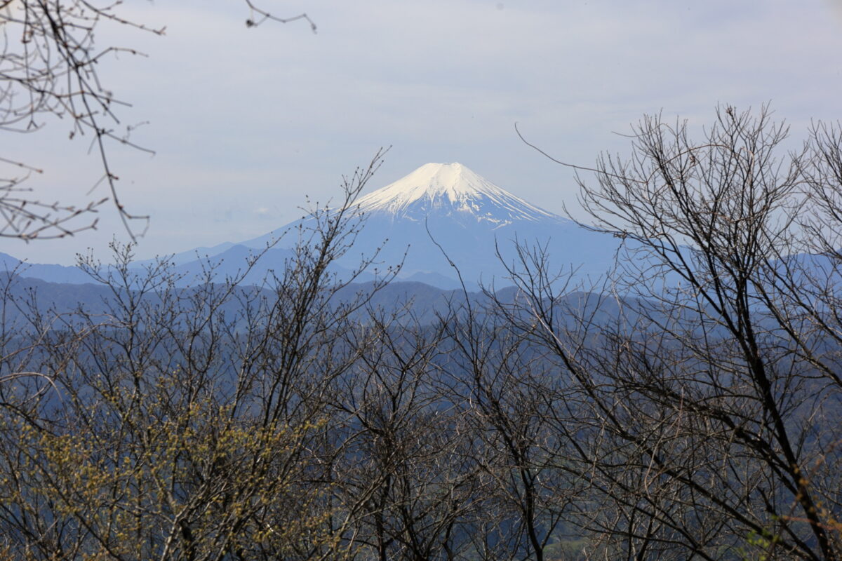 御前山山頂直下にあるスポットからの富士山の眺め