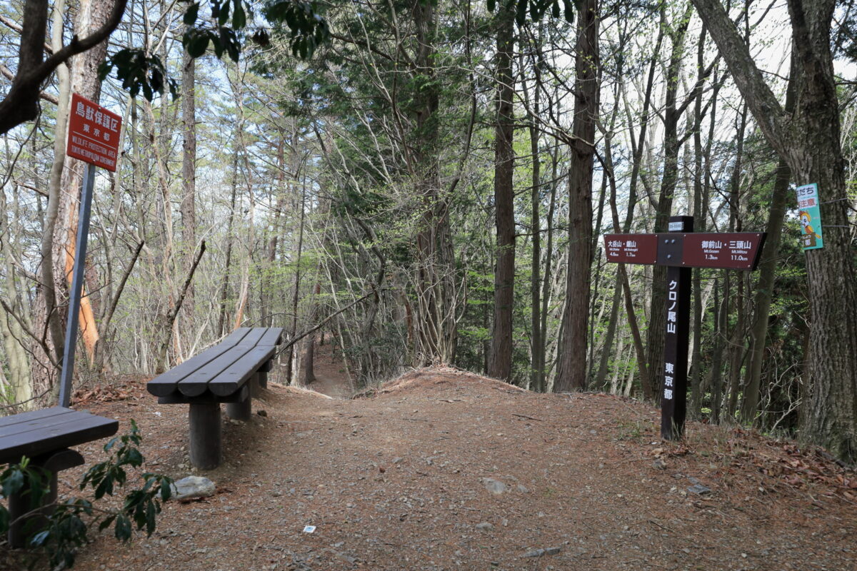 御前山～鋸山の小ピークの一つ「クロノ尾山」