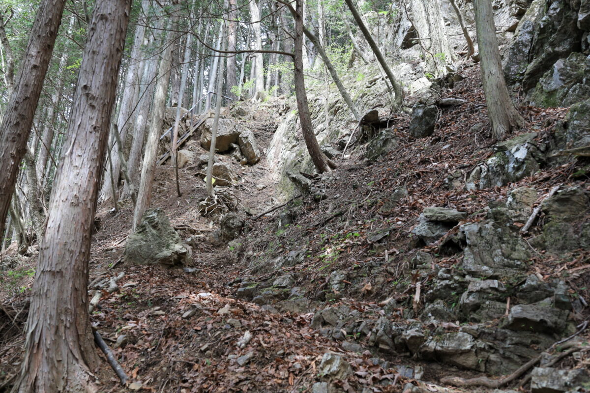 鋸尾根にのぼる登山道はかなりの急登