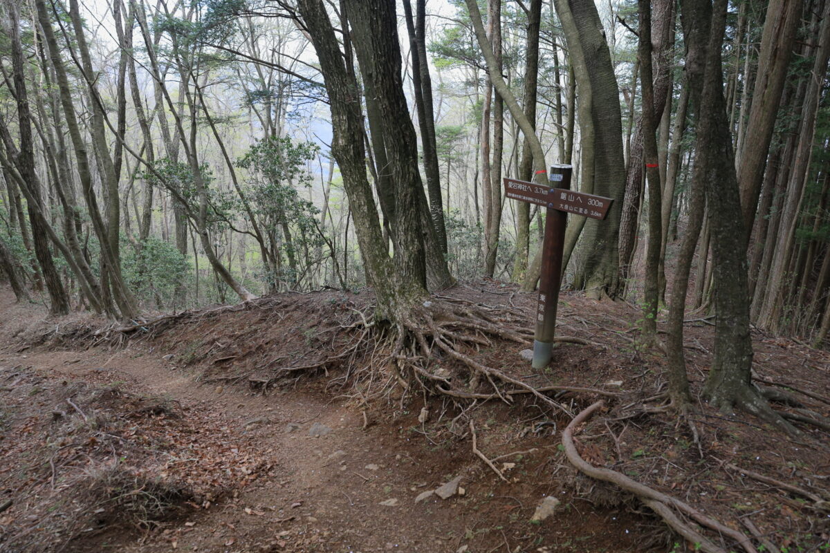 鋸山近くの小刻みなアップダウンが続く鋸尾根の登山道