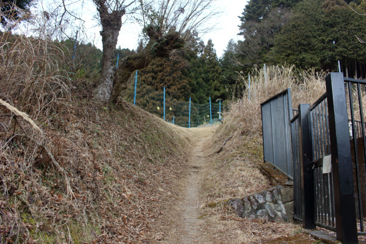 三頭山への登山道の入口