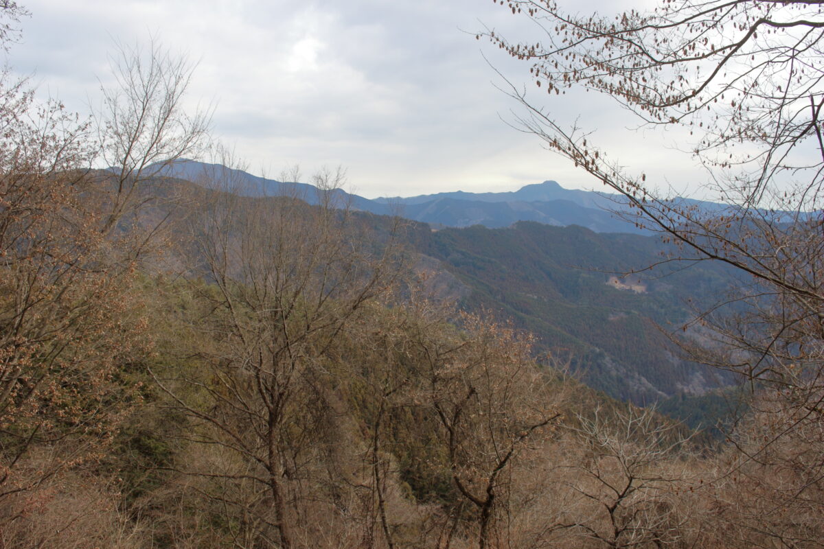 登山道からの大岳山・御前山の眺め
