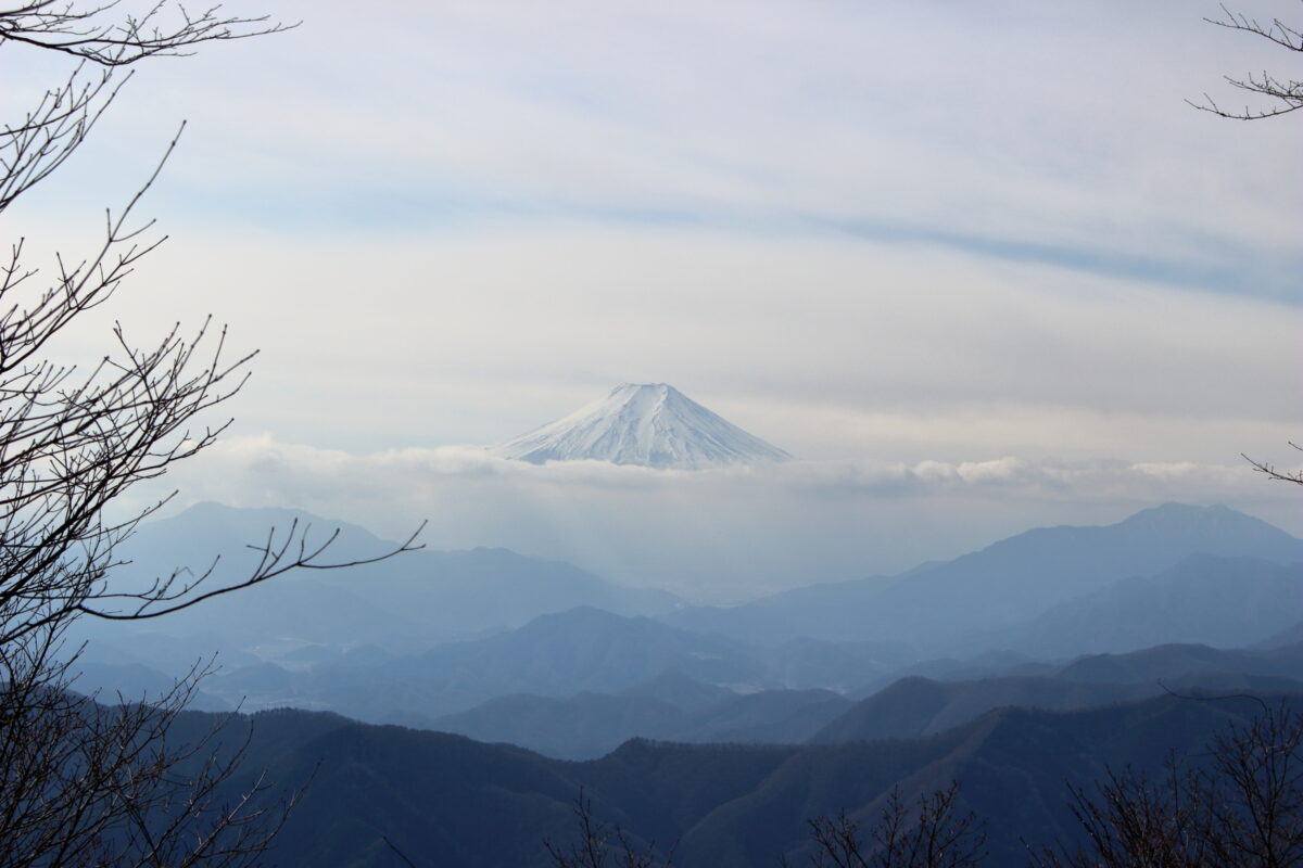 三頭山西峰から眺める富士山