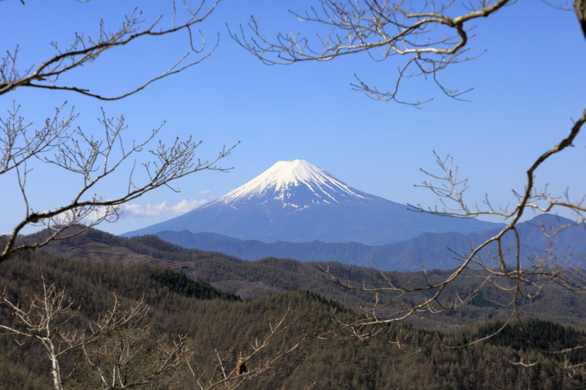 小屋平～石丸峠の登山道からの富士山の眺め