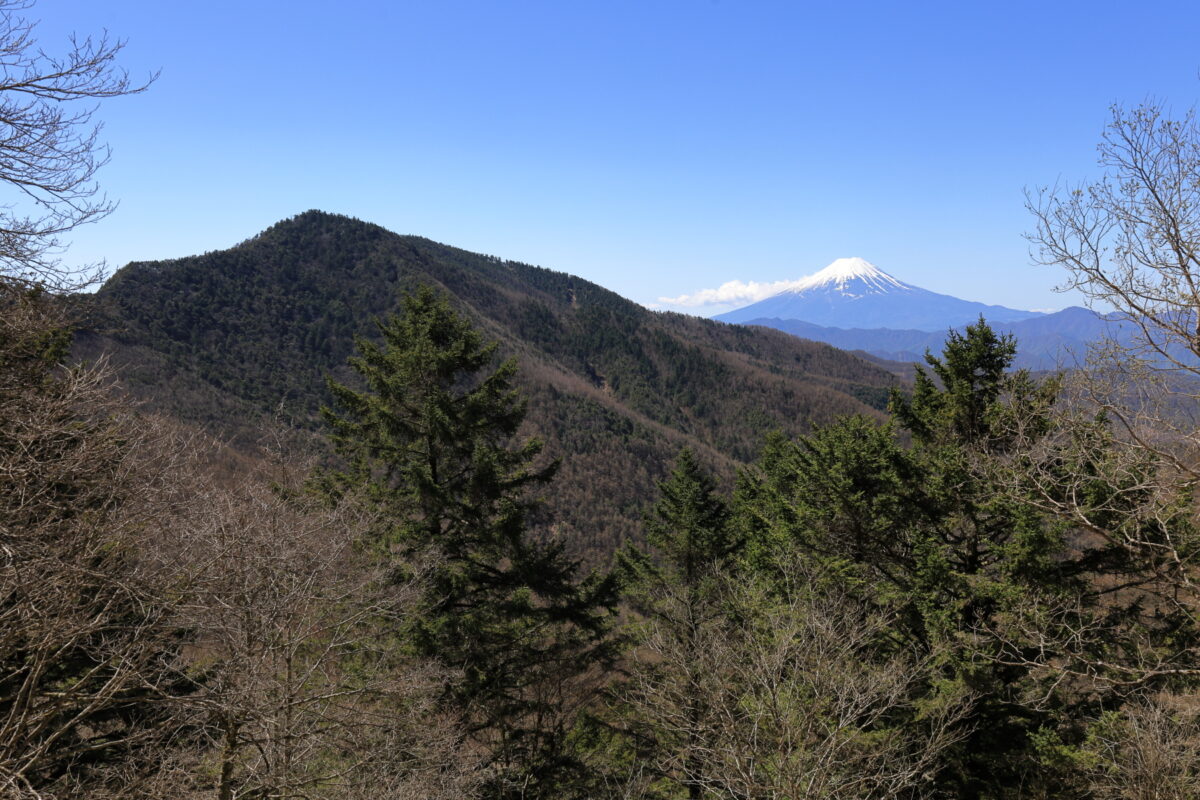 石丸峠手前からの小金沢山と富士山の眺め