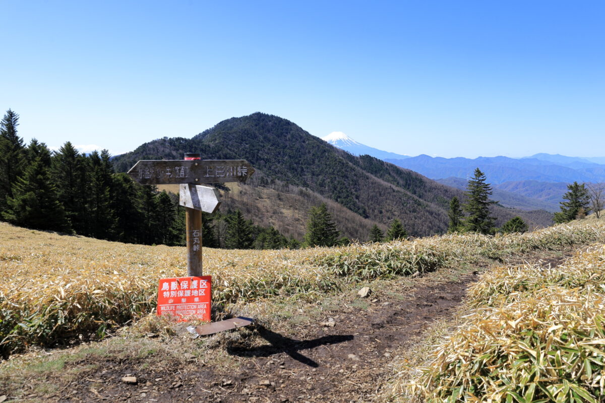 広々とした笹原にある石丸峠