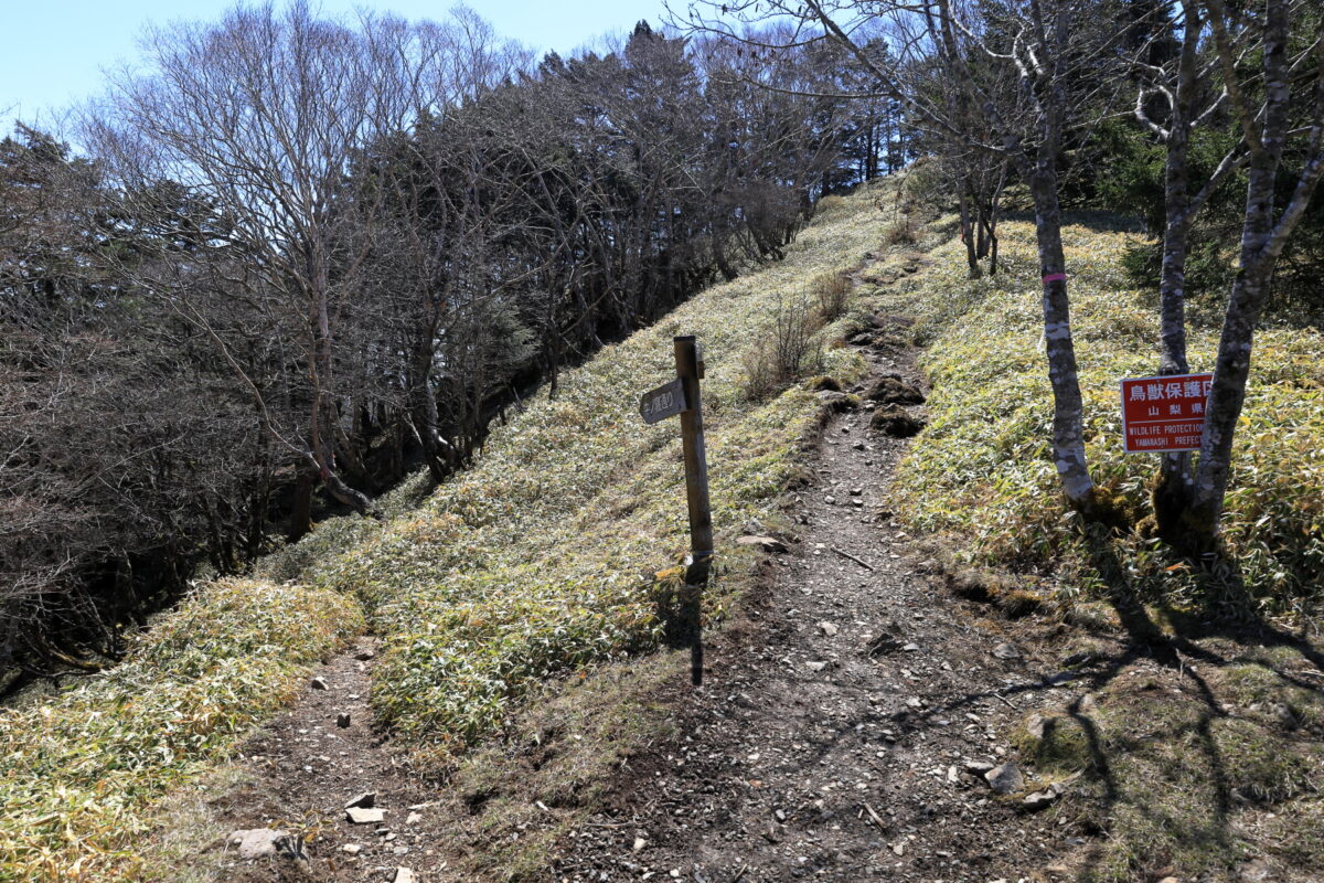 牛ノ寝通りとの分岐