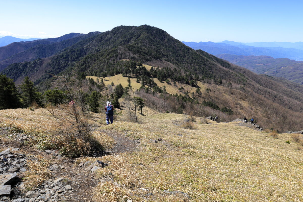 天狗棚山付近から小金沢山の取り付きまで続く笹原の絶景トレイル