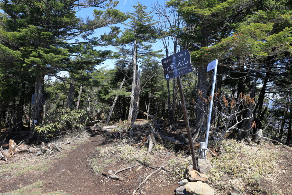 秀麗富嶽十二景2番に選定されている小金沢山の山頂